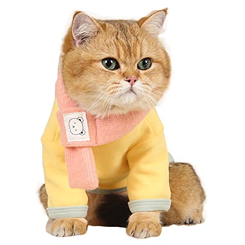 ANIAC Warme Kleidung für kleine Hunde Weicher Katzenpullover Welpe Kaltwetter Weste Hemd Haustier Fleece Mantel und Strickschal Sets für Katzen Chihuahua Pudel Yorkie Teddy (Groß, Gelb) von ANIAC