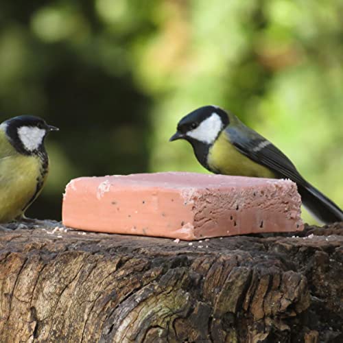 ANICULIS - Energieblock für Wildvögel mit Beeren, Premium-Qualität, Vogelfutter für Gartenvögel zur Ganzjahresfütterung, im Sparpaket - Multipack (12 x 280g) von ANICULIS