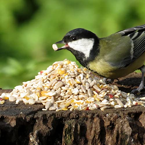 ANICULIS - Premium Keimfreie Futtermischung für Gartenvögel, hüllenfrei, schalenlos, Vogelfutter unkrautfrei für Wildvögel - Ganzjährig füttern (5 kg) von ANICULIS