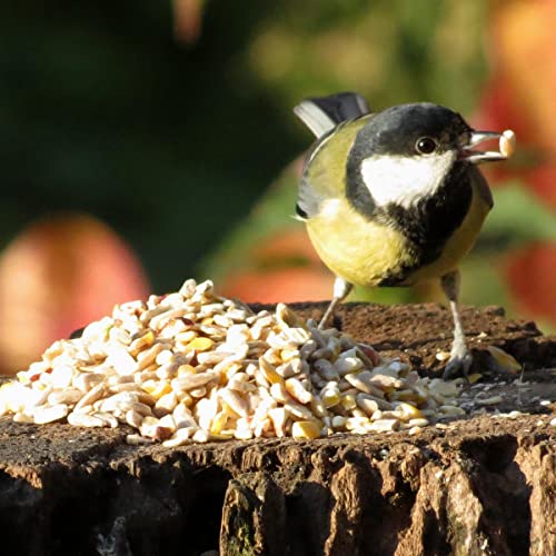 ANICULIS - Premium Keimfreie Futtermischung für Wildvögel, hüllenfrei, schalenlos, Vogelfutter unkrautfrei für Gartenvögel - Ganzjährig füttern (12.75 kg) von ANICULIS