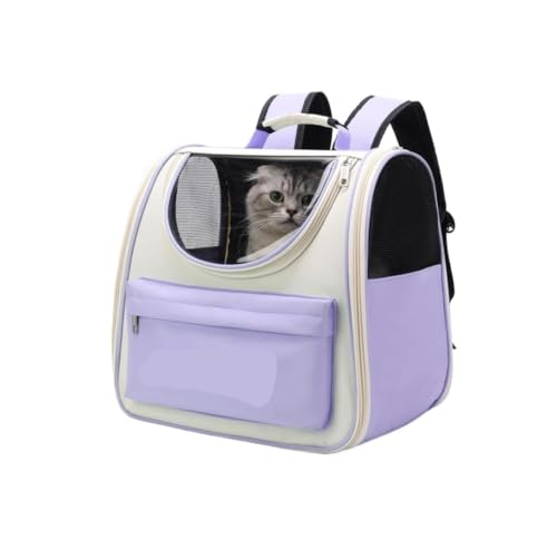 ANIIC Transportbox Katze Haustier-Rucksack, Katzen-Luftpolster-Rucksack, Hunde-Tragetasche Für Kleine Hunde Und Welpen, Hunde-Rucksack-Tragen Transportbox Hund (Color : Purple, Size : 37 * 25 * 34cm) von ANIIC