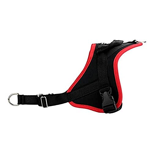 ANIMALIN Multigeschirr, 1 Stück ANIMALIN Multigeschirr, 1 Stück von ANIMALIN