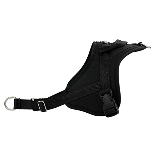 AnimoConcept Tier Multi -Gurtgröße M Schwarze 1 Einheit AnimoConcept Tier Multi -Gurtgröße M Schwarze 1 Einheit von ANIMALIN