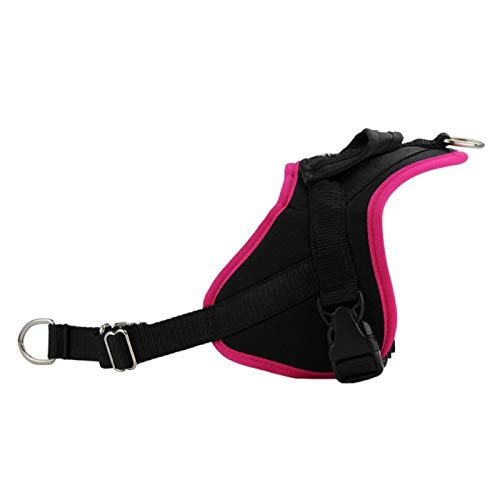 Hundegeschirr Classic | Zugentlastung | mit Kontrollgriff | Multifunktional | europäische Herstellung | Fuchsia | Größe XS Hundegeschirr Classic | Zugentlastung | mit Kontrollgriff | Multifunktional | europäische Herstellung | Fuchsia | Größe XS von ANIMALIN