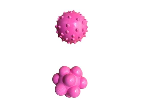 ANIMALPLAST Hundespielzeug aus Gummi, Gummiball und Knochen für Hunde, Trainingsball für Hunde (Kit 3 - Rosa) von ANIMALPLAST