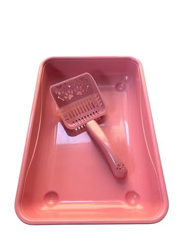 Katzentoilette für Katzen, Katzenklo, Katzenklo offen und Katzenklo Schaufel, Hygienische Katzentoilette aus Kunststoff (Rosa/Pink) von ANIMALPLAST