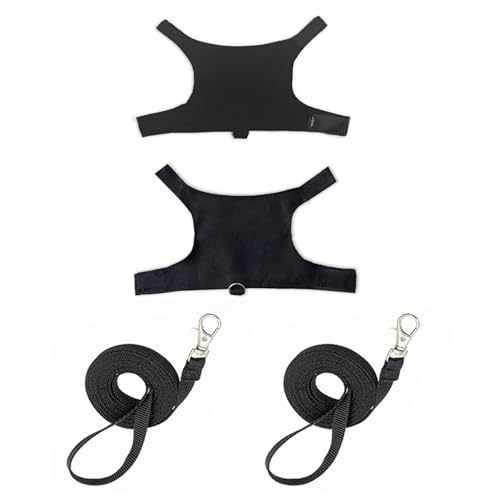 ANMITI Bartagamen Gehgeschirr Und Leine Set Für Outdoor Walking Training Sicheres Trainingsgeschirr Reptilien Kleidung 2 Set von ANMITI