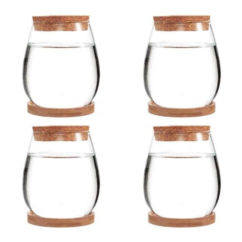 ANNJUC Mini-Terrarium-Glasvasen, transparent, ohne Erde und Grün, 4 Stück, wie abgebildet, für Garten, Wohnzimmer, Zuhause, Tischdekoration von ANNJUC