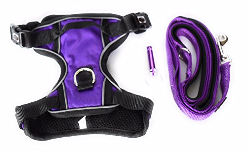 Verstellbares Hundegeschirr, Leinen-Set mit Trainingspfeife, Größe XL, Violett von ANSALE