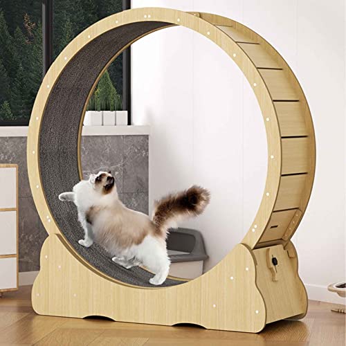 ANSNOW Katzenlaufband Für Haustiere, Katzen-Klettergerüst, Katzenlaufband Zum Laufen, Interaktives Katzenspielzeug Für Hauskatzen, Leiser Roller, Stabil Und Nicht Zitternd, Einfach Zu Montieren/Eine von ANSNOW