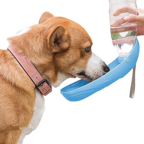 ANTDEG Pet Safe Drink Well Platinum Haustierbrunnen für Hunde und Katzen, 80 oz Wasserkapazität, freistehender Brunnen mit Filter in Schwarz (Blau) von ANTDEG