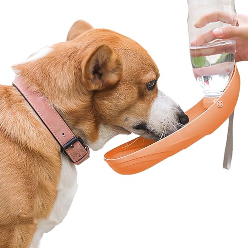 ANTDEG Pet Safe Drink Well Platinum Haustierbrunnen für Hunde und Katzen, 80 oz Wasserkapazität, freistehender Brunnen mit Filter in Schwarz (Orange) von ANTDEG
