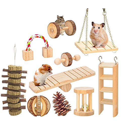 ANTIOCH 10 Stück Kauen Spielzeug Natürliche Ratten Chinchillas Zubehör Übung Glocke Rolle Zähne Molar Für Meerschweinchen Kaninchen von ANTIOCH