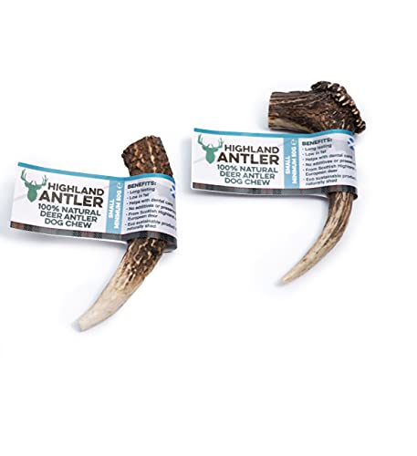 Antos Antler Geweih-Kauspielzeug für Hunde, 100 % natürlich, klein, 2 Stück von ANTLER