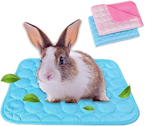 ANUBE 2er-Pack Meerschweinchenbett Hasenbett für Sommer, Haustier-Kühlmatte für Kaninchen, Meerschweinchen, Chinchillas, waschbar, atmungsaktiv, Eisseide, 30 x 34,8 cm (Blau + Pink) von ANUBE