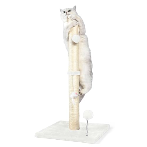 ANWA 81,3 cm hohe Katzenkratzbäume für Indoor-Katzen, 3-in-1 Katzenkratzbaum mit Plüschtieren, Premium Sisalstamm für Katzen jeden Alters mit verstärktem stabilem Boden, Cremeweiß von ANWA