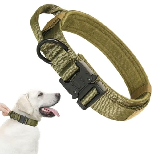 Hundehalsband, Weich Gepolstertes Verstellbare Nylon mit Kontrollgriff Metallschnalle, für Mittlere Große Hunde Jagd Training Outdoor(#A,M) von AOBUJDUB