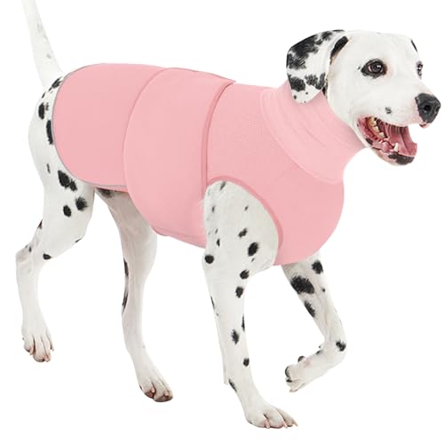 AOFITEE Hunde-Angstweste, beruhigender Kapuzenpullover für Hunde, Donnerjacke, beruhigendes Shirt für Feuerwerk, Donner, Reisen, Trennung, Geräuschblockierung und Gehörschutz von AOFITEE