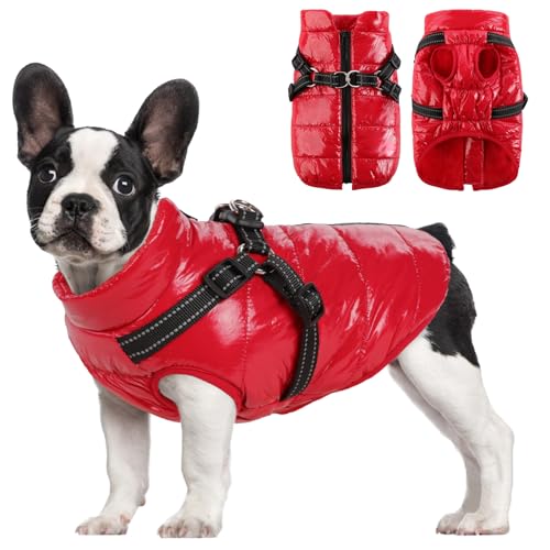 AOFITEE Kleine Hundemantel mit Geschirr Eingebaut, wasserdichte Hundejacke Winter Schneeanzug, winddichte 2-in-1 Hundepufferweste für kleine mittelgroße Hunde, gemütliche Fleece-Hundejacke mit von AOFITEE