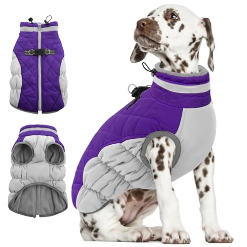 AOFITEE Kleiner Hundemantel, Warme Hundewinterjacke für Extra Kleine Hunde, Reflektierende Rollkragen-Hundeweste mit Integriertem Geschirr,wasserdichte Hundeschneejacke für Chihuahua, Yorkshire von AOFITEE