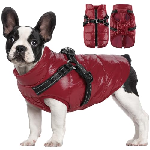 AOFITEE Kleiner Hundemantel mit integriertem Geschirr, wasserdichte Hundejacke, Winter-Schneeanzug, winddicht, 2-in-1-Hundepufferweste für kleine und mittelgroße Hunde, gemütliche Fleece-Hundejacke von AOFITEE