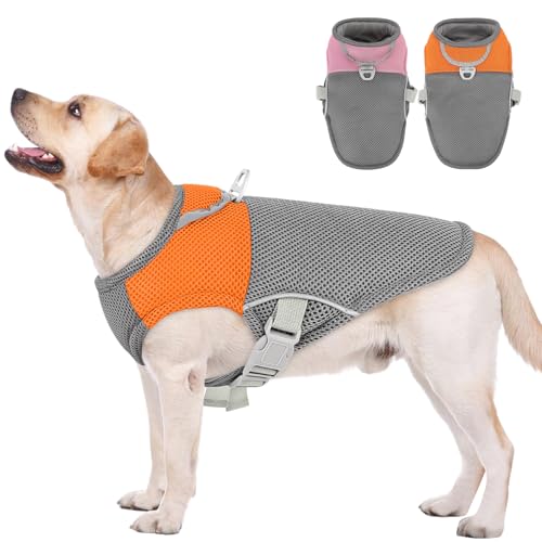 AOFITEE Kühlweste für Hunde, UV-Schutz-Shirt, atmungsaktiv, kühlendes Hunde-Shirt mit Geschirr, D-Ring, leichte Hundekühljacke, Hundeeisweste für kleine, mittelgroße und große Hunde von AOFITEE