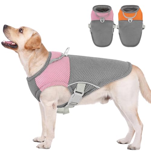 AOFITEE Kühlweste für Hunde, UV-Schutz-Shirt, atmungsaktiv, kühlendes Hunde-Shirt mit Geschirr, D-Ring, leichte Hundekühljacke, Hundeeisweste für kleine, mittelgroße und große Hunde von AOFITEE