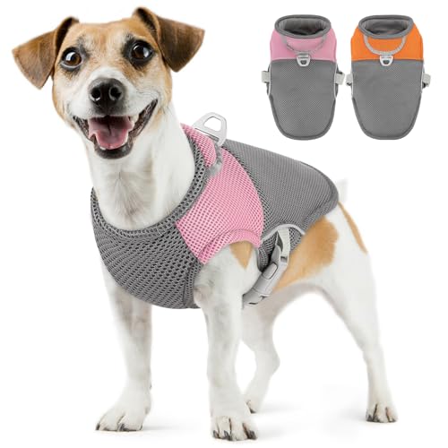 AOFITEE Kühlweste für Hunde, atmungsaktive Hundekühlweste mit Geschirr, D-Ring, Hunde-UV-Schutz-Shirt, Haustier-Kühljacke, leichte Hundekühljacke für Sommer, heißes Wetter von AOFITEE