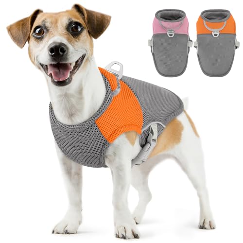 AOFITEE Kühlweste für kleine Hunde, atmungsaktiv, kühlendes Hunde-Shirt, UV-Schutz-Shirt, kühlendes Hunde-Shirt mit Geschirr, D-Ring, leichte Hundekühljacke für kleine, mittelgroße und große Hunde von AOFITEE