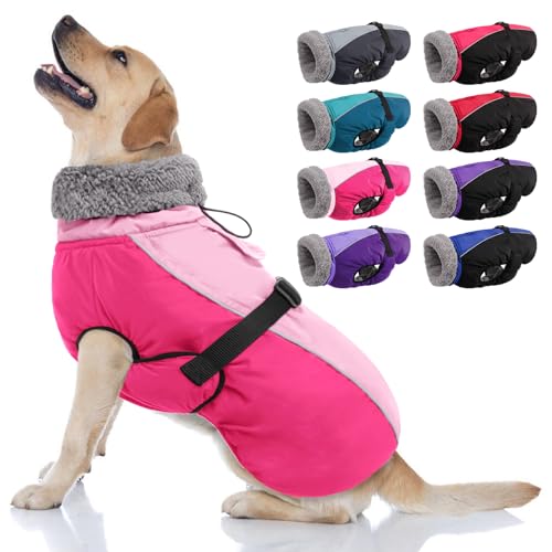 AOFITEE Warmer Hundemantel, Rollkragen, gepolsterter Hunde-Wintermantel mit Loch für die Leine, verstellbar, reflektierend, wasserdichte Hunde-Schneejacke für kaltes Wetter, Hundemäntel für kleine, von AOFITEE