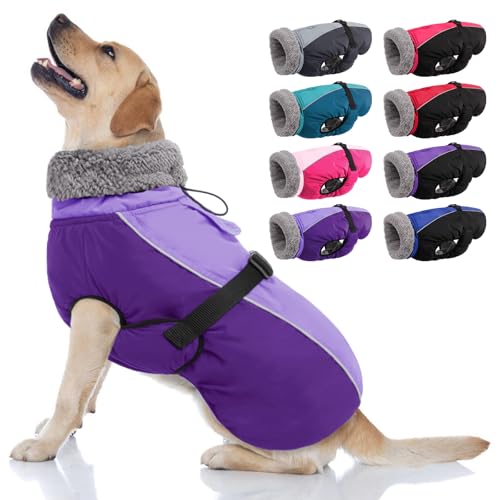 AOFITEE Warmer Hundemantel, Rollkragen, gepolsterter Hunde-Wintermantel mit Loch für die Leine, verstellbar, reflektierend, wasserdichte Hunde-Schneejacke für kaltes Wetter, Hundemäntel für kleine, von AOFITEE