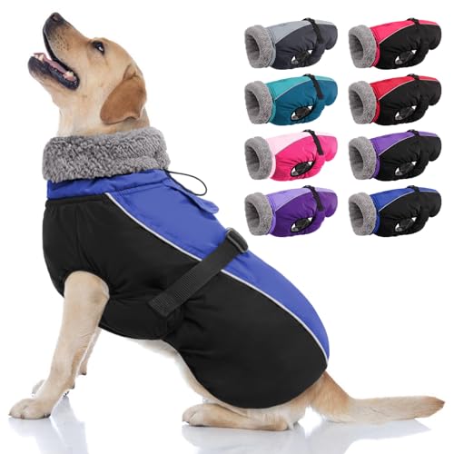 AOFITEE Warmer Hundemantel, Rollkragen, gepolsterter Hunde-Wintermantel mit Loch für die Leine, verstellbar, reflektierend, wasserdichte Hunde-Schneejacke für kaltes Wetter, Hundemäntel für kleine, von AOFITEE