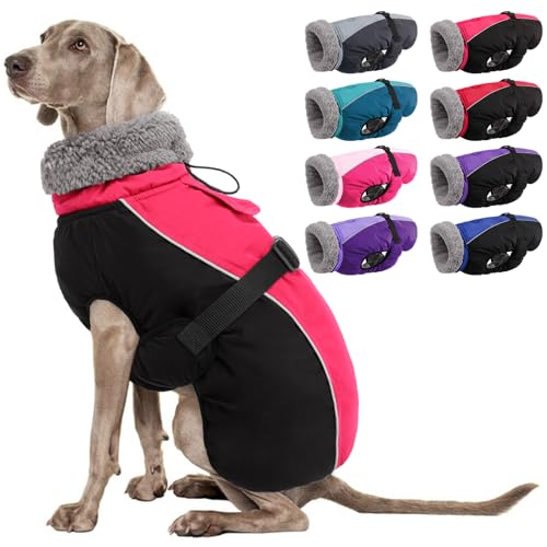 AOFITEE Warmer Hundemantel, Rollkragen gefütterter Hundewintermantel mit Leine Loch verstellbare Hundejacke, wasserdichte Hundeschneejacke für kaltes Wetter Hundemäntel für kleine mittlere große Hunde von AOFITEE