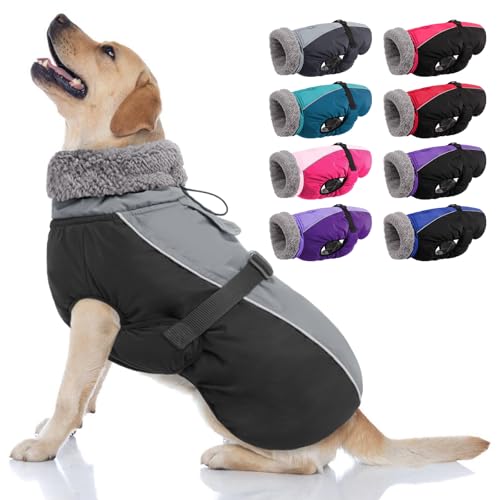 AOFITEE Warmer Hundemantel, Rollkragen gefütterter Hundewintermantel mit Leine Loch verstellbare Hundejacke, wasserdichte Hundeschneejacke für kaltes Wetter Hundemäntel für kleine mittlere große Hunde von AOFITEE