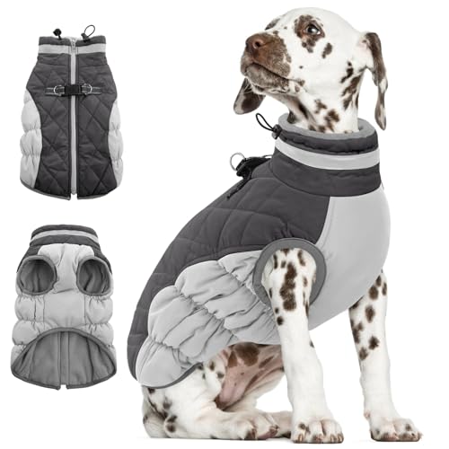 AOFITEE Kleiner Hundemantel, Warme Hundewinterjacke für Extra Kleine Hunde, Reflektierende Rollkragen-Hundeweste mit Integriertem Geschirr,wasserdichte Hundeschneejacke für Chihuahua, Yorkshire von AOFITEE