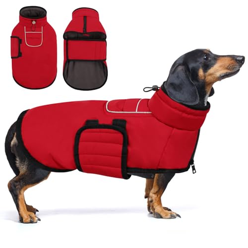 AOFITEE Kleiner Hundemantel, Warme Hundewinterjacke für Extra Kleine Hunde, Reflektierende Rollkragen-Hundeweste mit Integriertem Geschirr,wasserdichte Hundeschneejacke für Chihuahua, Yorkshire von AOFITEE