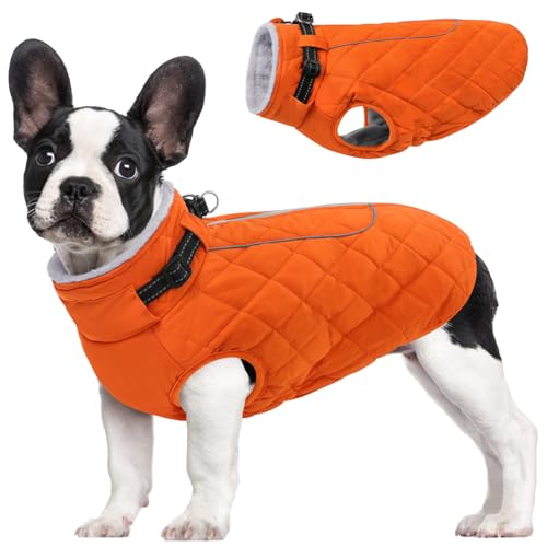 AOFITEE Winterjacke für kleine Hunde, wasserdicht und reflektierend, Fleece-Kragen, perfekt für Yorkshire und West Highland von AOFITEE