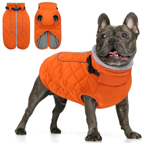 AOFITEE Wintermantel für kleine Hunde, wasserdichte Hunde-Winterjacke mit Reißverschluss und Fleecekragen, reflektierender Hundemantel, Pufferjacke für kleine Hunde, Schneemantel für kleine Hunde, von AOFITEE