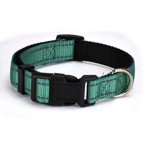 AOKLANT reflektierendes Nylon-Hundehalsband, Komfortabel gefüttert mit Nylon-Halsband, Einstellbare Größen & Farben, Ideal für Se, mittlere & Le Hunde, Türkis Grün, L von AOKLANT