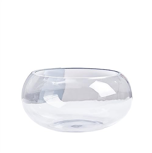 Aquarium Aquarium, ökologisches Aquarium, rundes Goldfisch-Aquarium, Glas-Aquarium, großes Schildkröten-Aquarium, kleines Aquarium, Hydrokultur-Vase Desktop-Aquarium (Size : 001) von AOKLEY