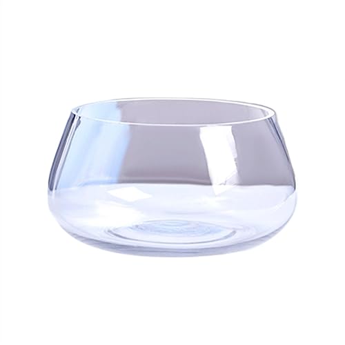 Aquarium Aquarium Glas Runde Ökologische Tank Kleines Zuhause Transparent Aquarium Desktop Home Schildkröte Tank Wasser Pflanzen Desktop-Aquarium (Size : L) von AOKLEY