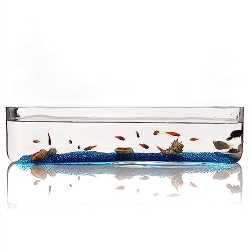 Aquarium Aquarium Kleines Glas Rechteckiges Aquarium Aquarium Ökologisches Aquarium Transparentes Glas Wohnzimmer Büro Desktop Aquarium Dekoration Desktop-Aquarium (Size : L) von AOKLEY