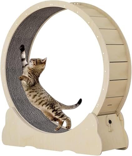 Laufband für Katzen,Laufband ohne Lücke,Laufband FüR Katzen mit Laufbahn Mit Teppichboden,Laufrad für Katzen im Innenbereich,sicheres Spinnrad für Katzen,Katzenmöbel,Beige-L von AOKLEY