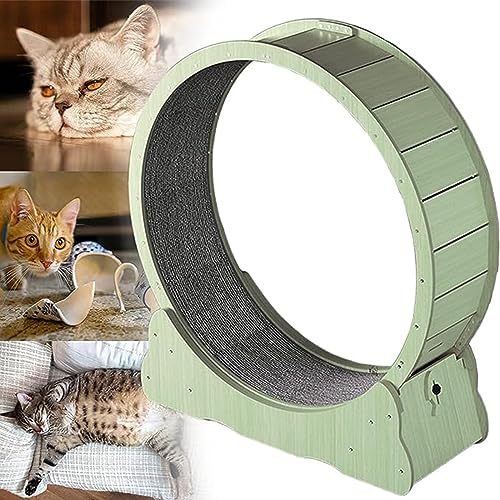 Laufrad Für Katzen,Geeignet Für Katzen-Fitness-Laufband Für Katzenspielzeug Für Alle Dinge,Laufrad für Katzen Im Innenbereich für Kleine,Die Sich Drehen,Kratzen,Klettern,Green-M von AOKLEY