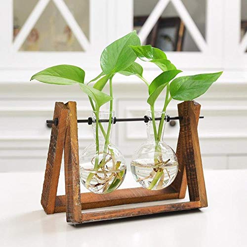 AOM Kreative Pflanze Glas Hydroponische Container Terrarium Schreibtisch Dekor mit Holzständer Blumentopf Dekoration, 2 Glaskugeln von AOM