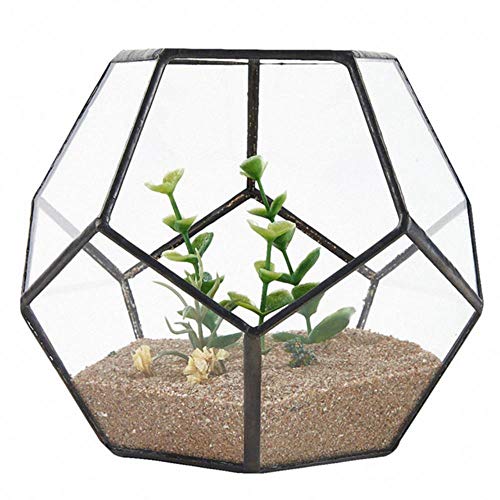 AOM Schwarzes Glas Pentagon geometrische Terrarium Container Fensterbank Dekor Blumentopf Balkon Pflanzer DIY Display Box (Keine Pflanze), schwarz transparent von AOM