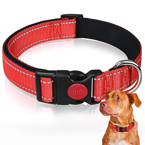 Hundehalsband,Verstellbares Hundehalsband,Reflektierendes Hundehalsband,Starkes Hundehalsband,Dickes Hundehalsband für kleine mittlere große Hunde,M,Rot von AONAT