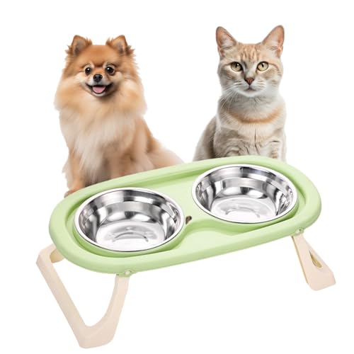 Doppeltes Katzennapf, Katzenfutter- und Wassernapf, erhöhter Katzennapf mit Ständer, erhöhter Katzennapf, Katzen-Wassernapf für Katzen und kleine, mittelgroße Hunde (grün) von AOTLEE