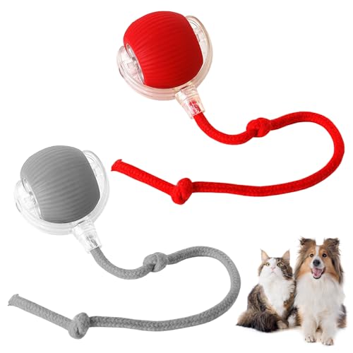 2 Stück Interaktiver Spielball für Katzen, Hundeball Elektrisch Interaktiver Spielball mit Schwanz für Hunde, Smart Automatisches Katzenspielzeug Automatisch Rollender Ball für Katzen und Hunde von AOUZOVLI