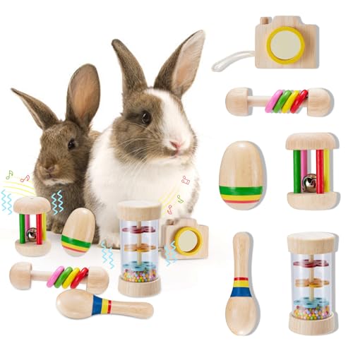 AOWPFVV Hasenspielzeug aus Holz, sicheres Kaninchenspielzeug, bissfestes Meerschweinchen-Spielzeug für Chinchillas, Hamster, Kleintiere, zum Zähneknirschen drinnen und draußen, 6 Stück von AOWPFVV